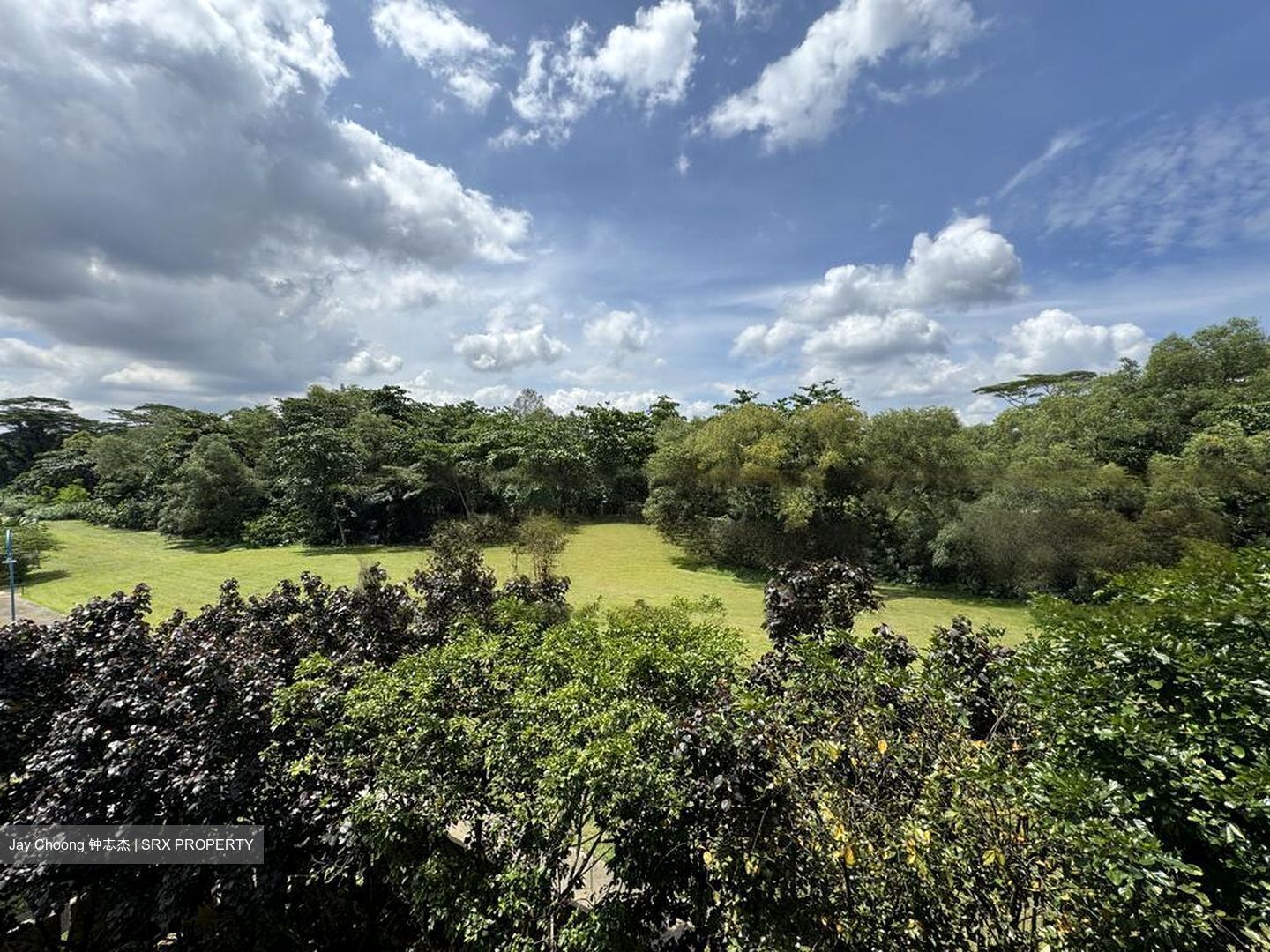 Kandis Walk (D27), Condominium #454323741